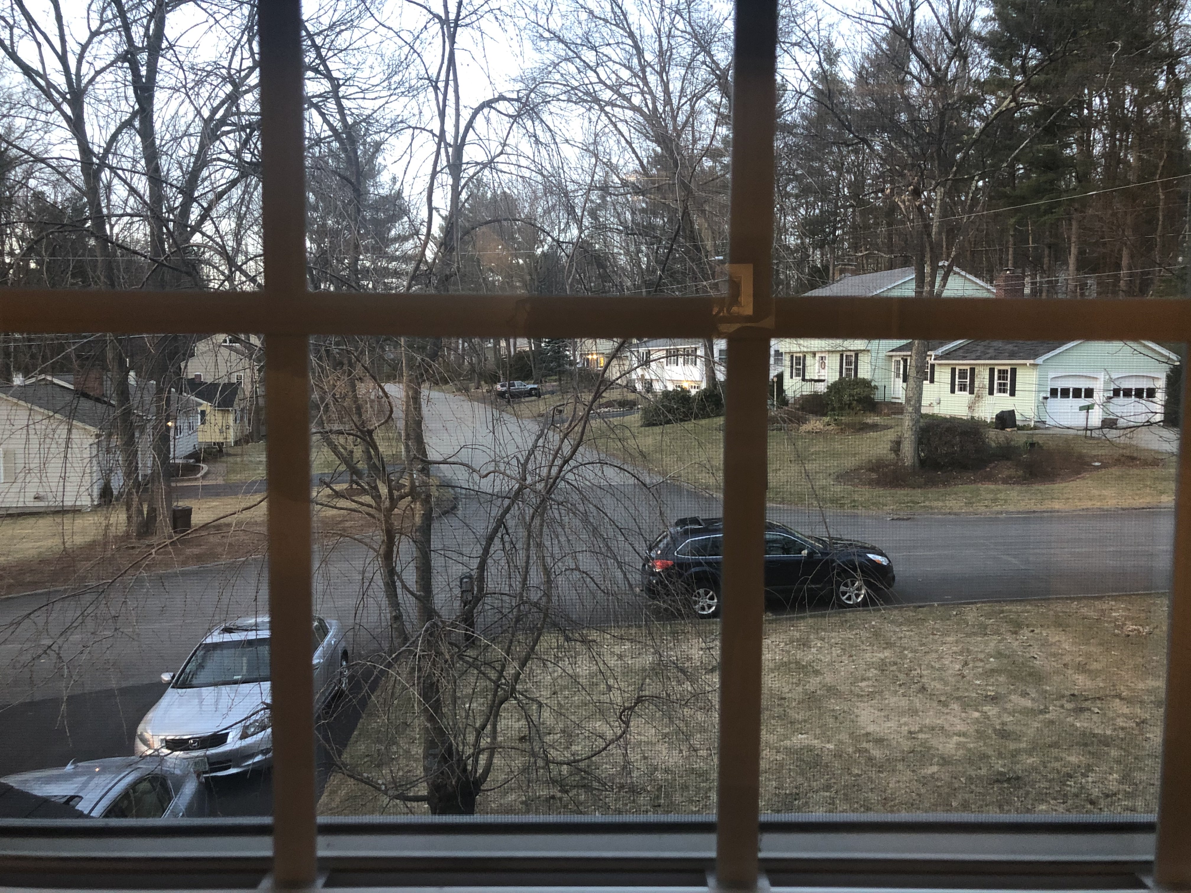 A Blog For the End of the World